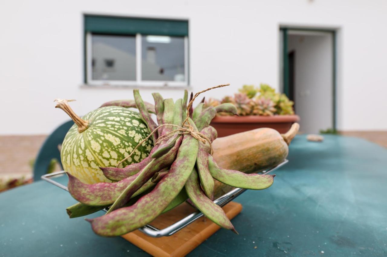 Casas Com Amoras In Serra Da Pescaria Famalicão Exteriör bild