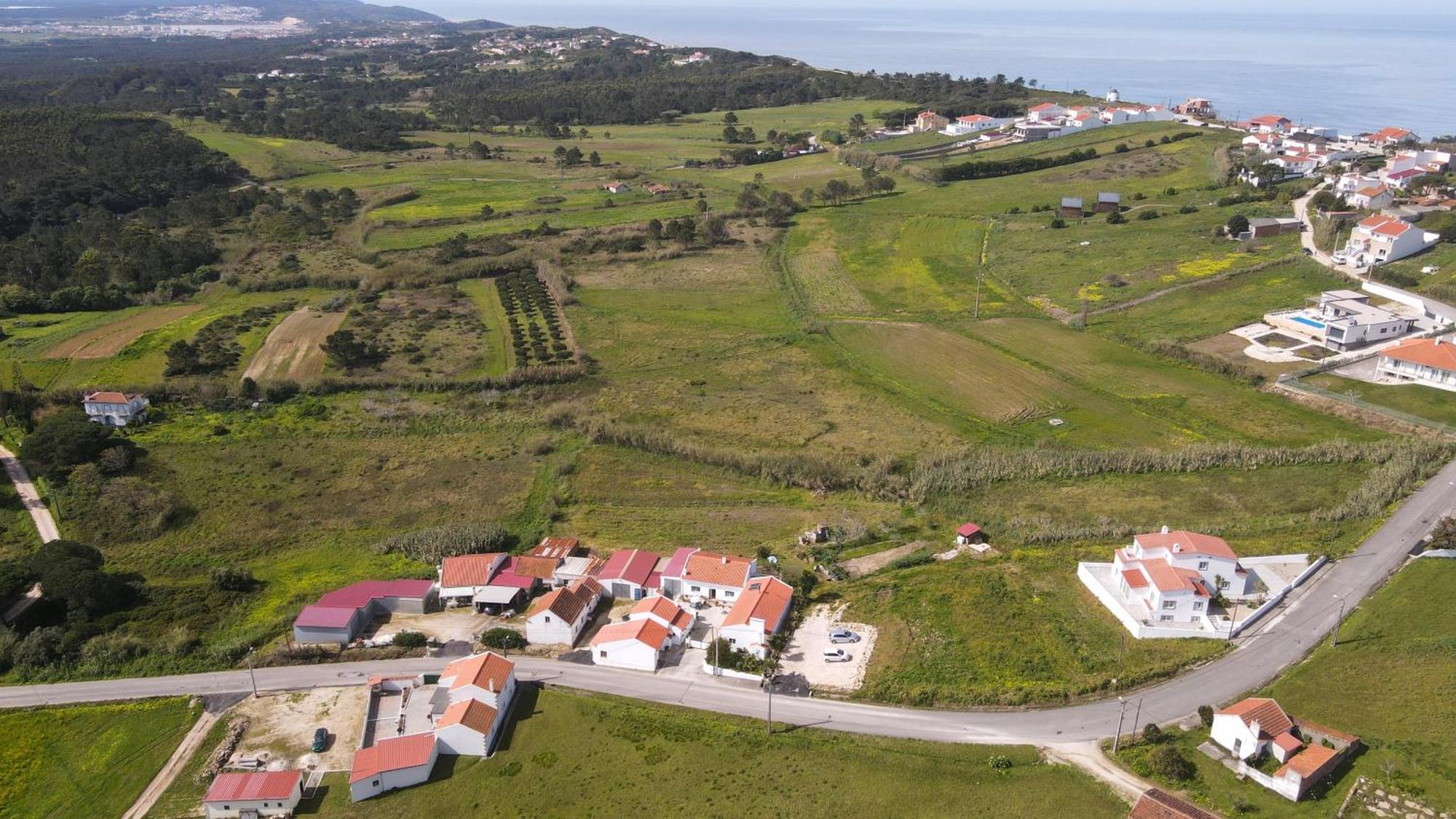 Casas Com Amoras In Serra Da Pescaria Famalicão Exteriör bild